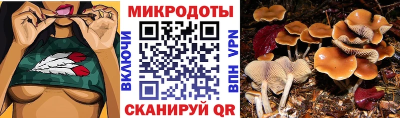 Галлюциногенные грибы Cubensis  darknet официальный сайт  Удомля 